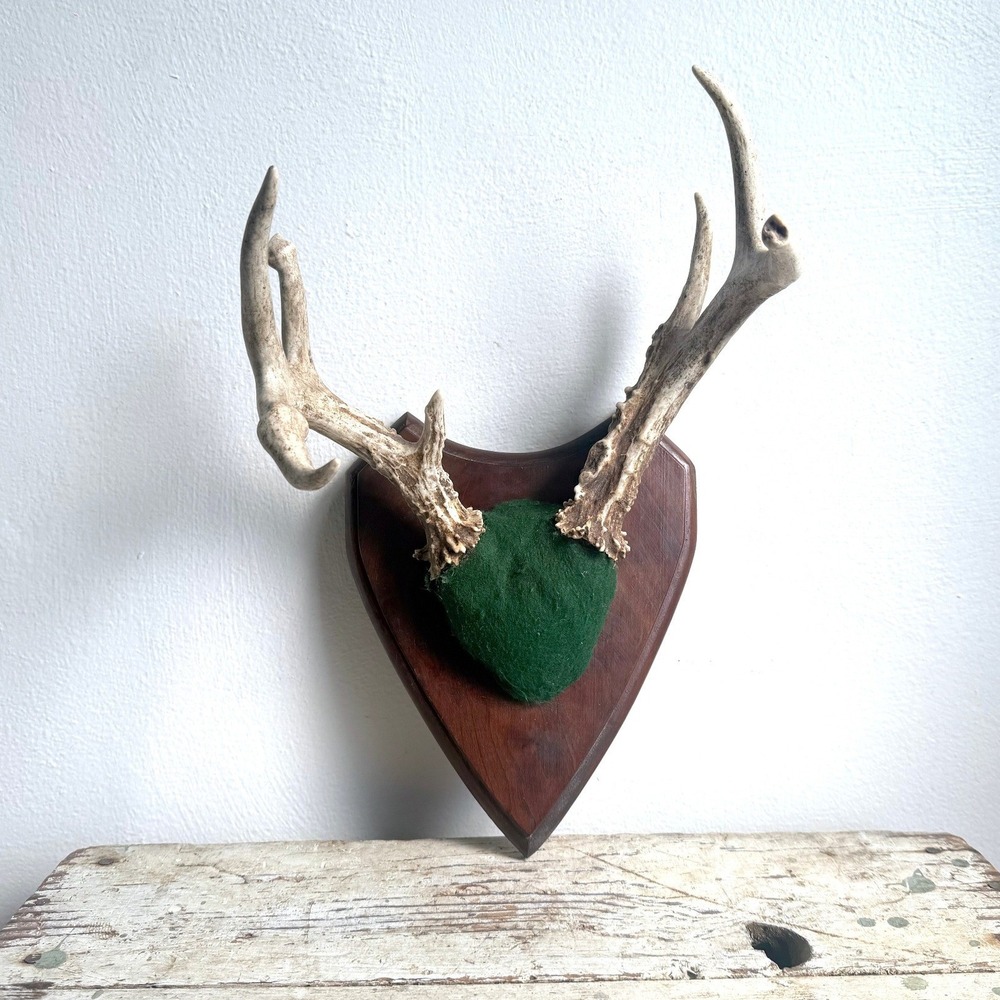 7‎ Point Whitetail Deer Antler Rack Handcrafted Green Felt Wood Plaque Michigan